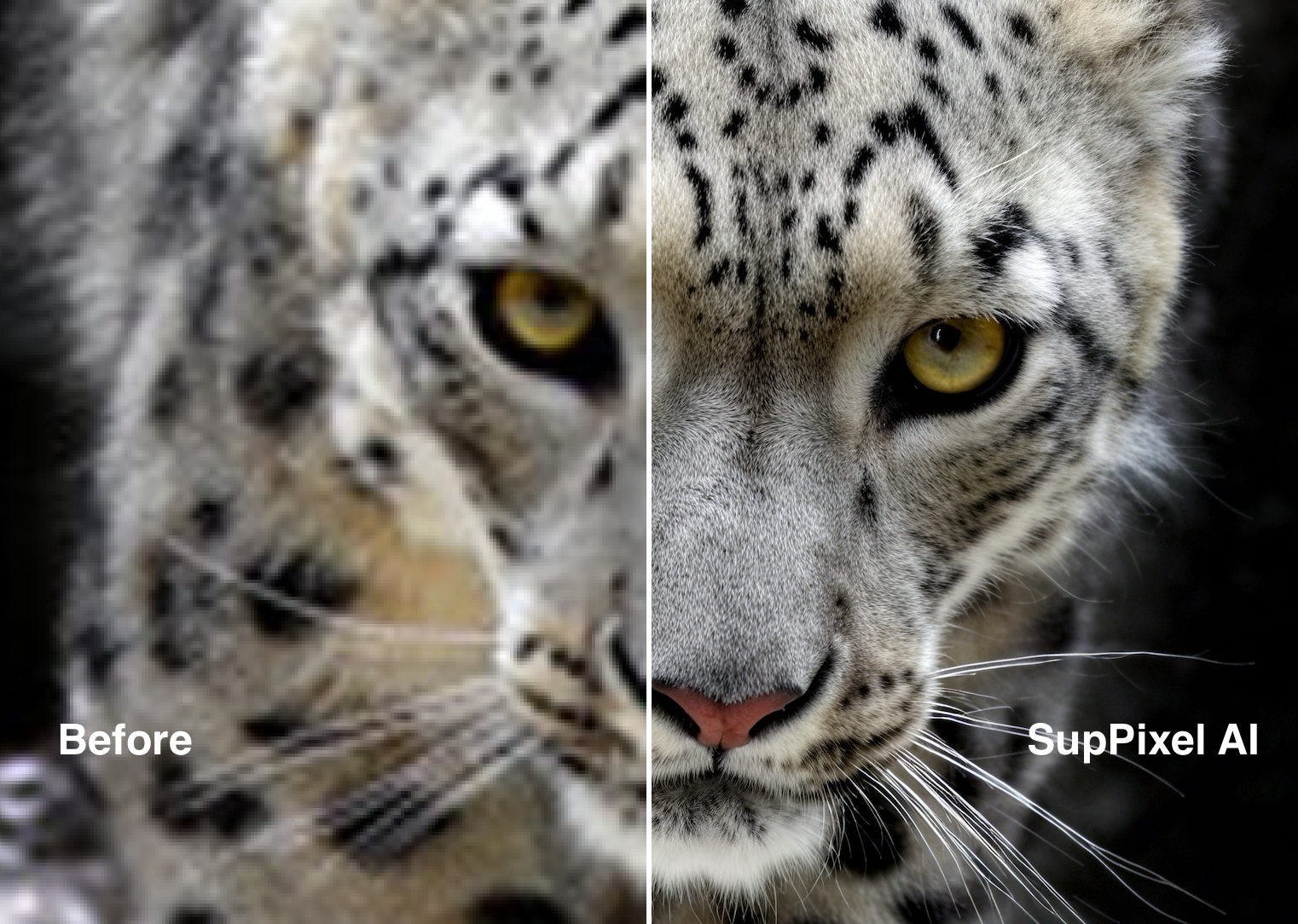 Welcome to the SupPixel AI!